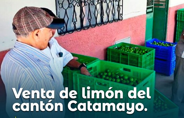 Fomentan la comercialización de limón del cantón Catamayo.