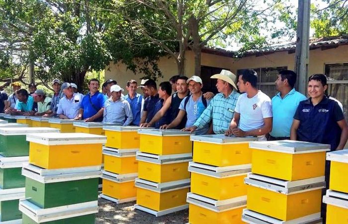 Entregan kits apícolas en el cantón Zapotillo.