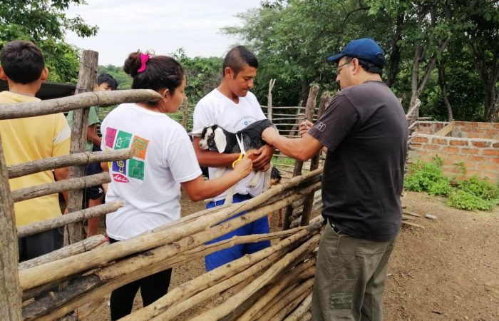 En Zapotillo se fortalece la ganadería