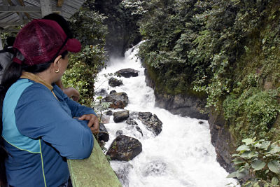 PALANDA: EL PODOCARPUS UNA INTENSA EXPERIENCIA NATURAL