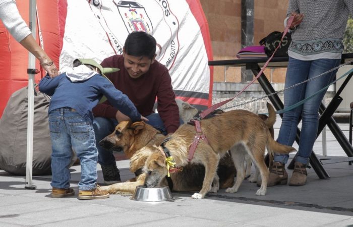 Propuesta legislativa en favor de la fauna urbana y silvestre