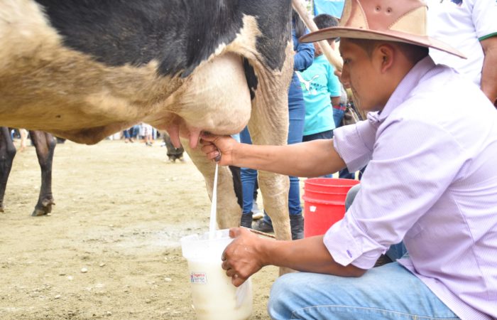 Yantzaza fomenta la producción con la Feria Agrícola y Ganadera
