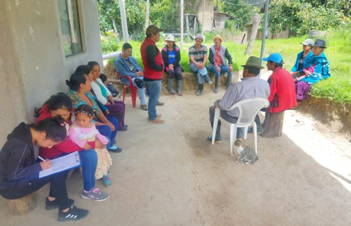 Prefectura apoya crianza tecnificada de porcinos en Selva Alegre