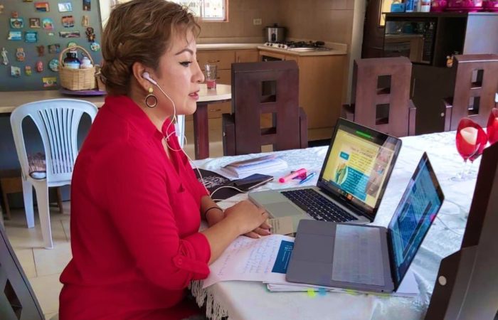 Organizaciones políticas se capacitan sobre reformas electorales de forma virtual