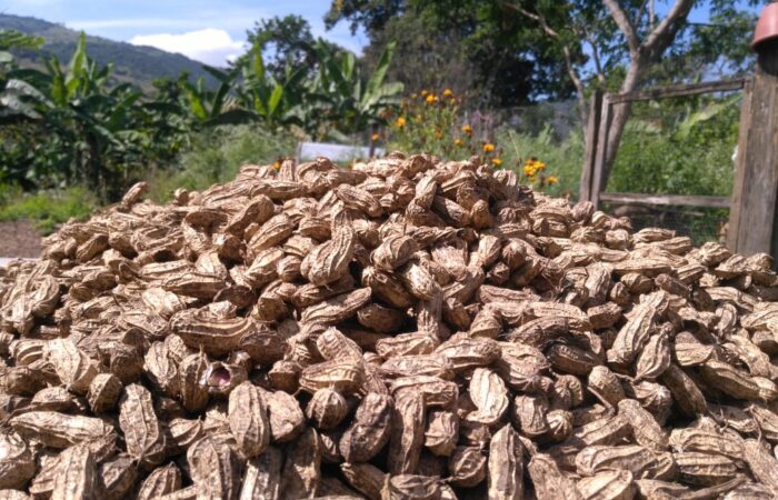 Los héroes de la alimentación también son custodios de la tierra
