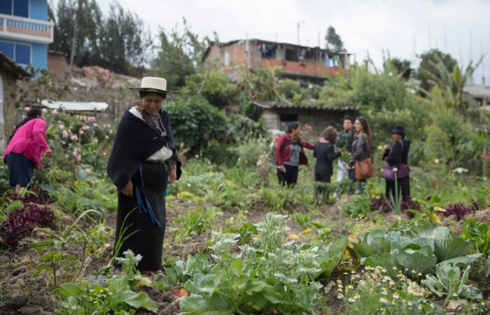 Proyecto huertos urbanos está por empezar en la ciudad