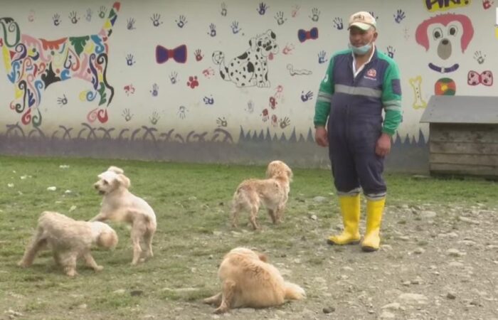 Sanción para quienes maltraten o abandonen a sus mascotas