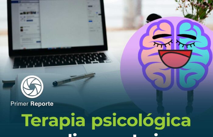 Terapia psicológica online en Loja