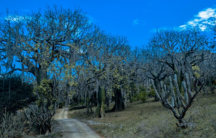 Sozoranga le apuesta a la producción y el turismo