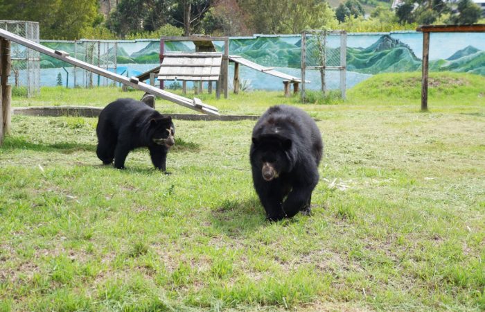 Se reabre atención en Zoológico Municipal