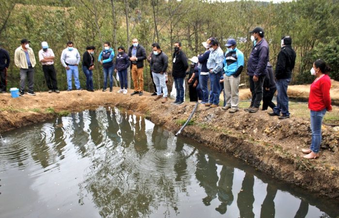 Entregan alevines de trucha en Purunuma
