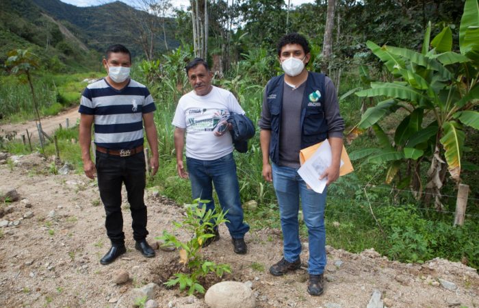 Proyectos ambientales permiten restaurar áreas degradadas.