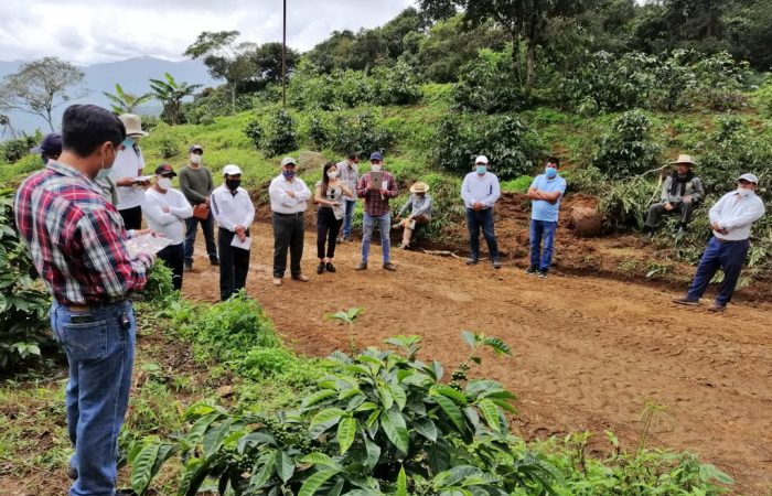 Productores de Chaguarpamba conocen la importancia de la nutrición del café