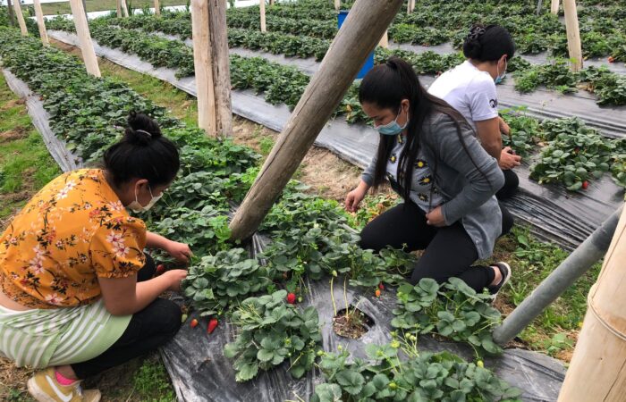 Productores y estudiantes comparten conocimientos