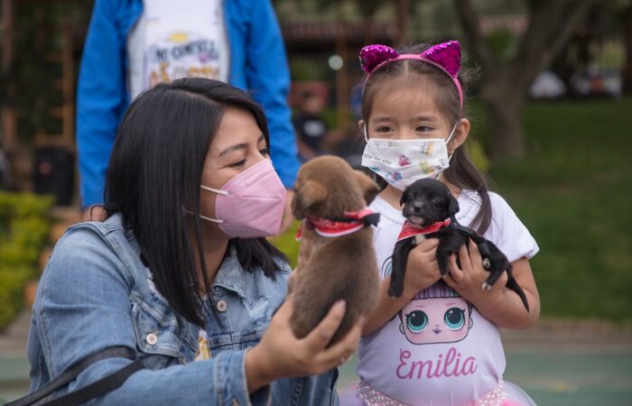 Campaña de adopción canina en marcha