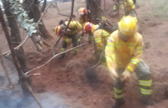 Informe del Incendio forestal en el parque Colinas del Pucará.