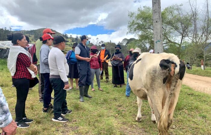En Saraguro se trabaja bajo el enfoque de Ganadería Climáticamente Inteligente