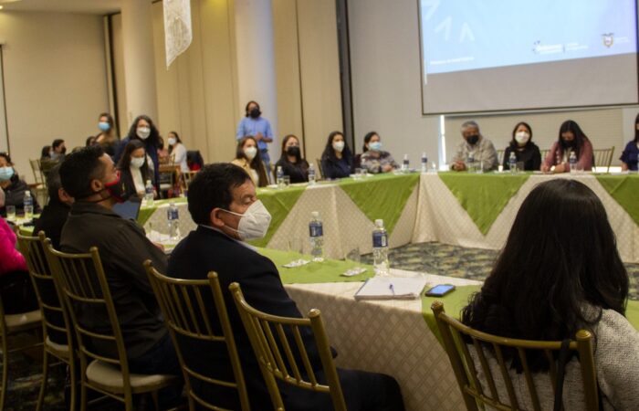 MSP actualiza el plan estratégico nacional de salud mental