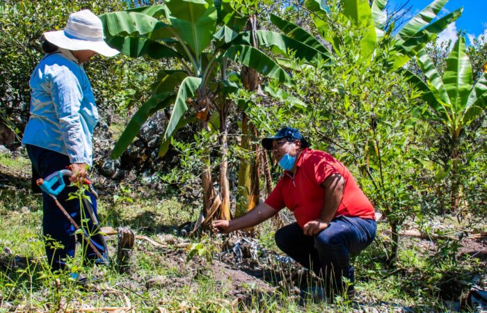 Productores del sistema de riego se capacitan para optimizar producción en la Parroquia La Era