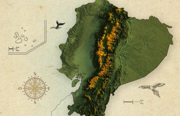 Una serie documental de UTPL invita a revalorizar los páramos