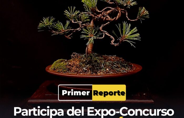 Participa del Expo-Concurso Loja Bonsái 2022 y conoce del maravilloso arte