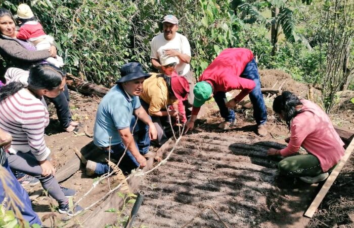 En Espíndola se promueve la siembra de alimentos saludables para combatir la desnutrición