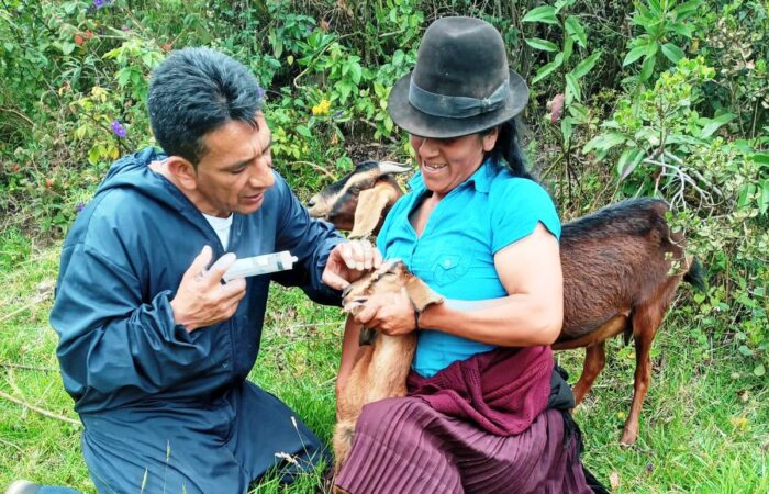 Desparasitación y vitaminización de ganado beneficia a productores de Saraguro