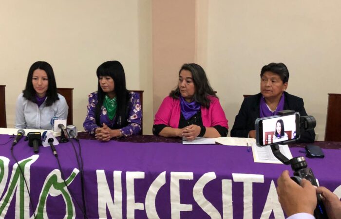 Elecciones 2023: Feministas visibilizan precandidatas