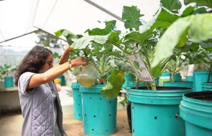 ¡Estamos generando nitrógeno a través de producción biogénica!