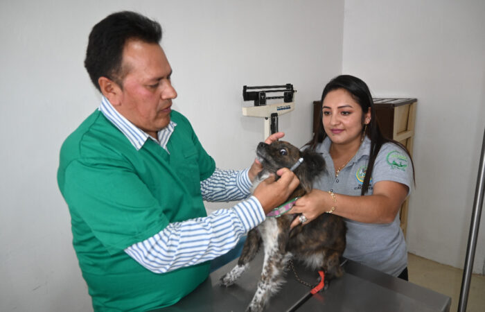 GAD Catamayo inauguró consultorio veterinario gratuito