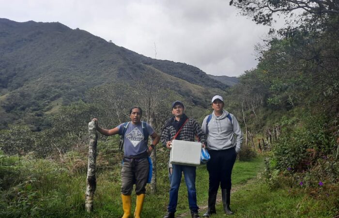 Estudiantes de la UNL ganan premio por investigación ambiental   
