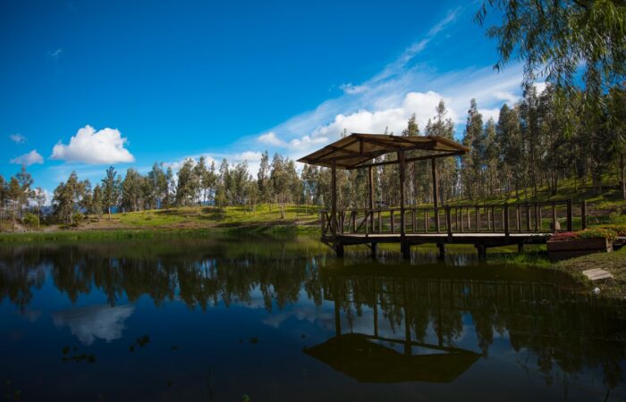 Museos Y Parques Otra Opción Para El Feriado