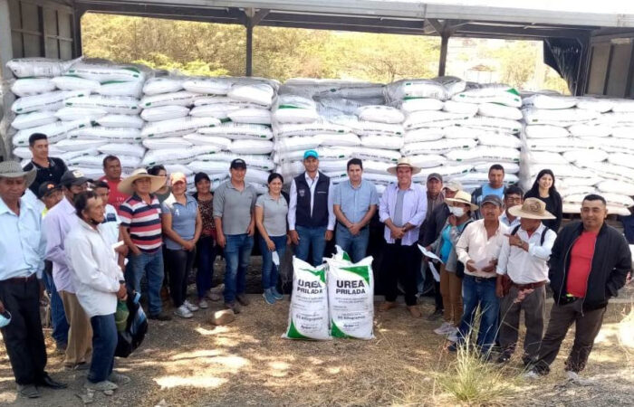Familias De Zapotillo Mejorarán Sus Cultivos Con Urea Subvencionada