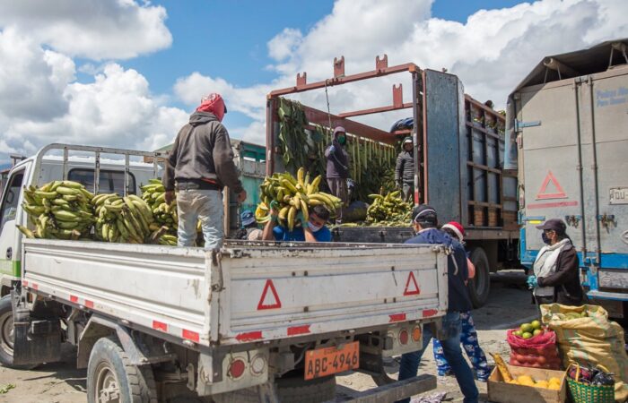 Municipio Carnetiza A Productores Del Puerto Seco