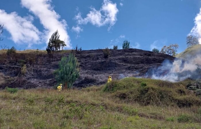 140 Incendios Forestales En Lo Que Va Del 2022