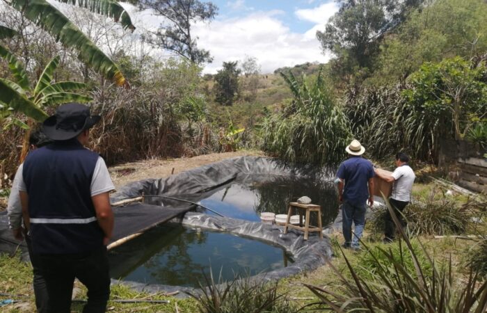 Parroquias Se Benefician De 45 Mil Alevines De Tilapia Y Trucha