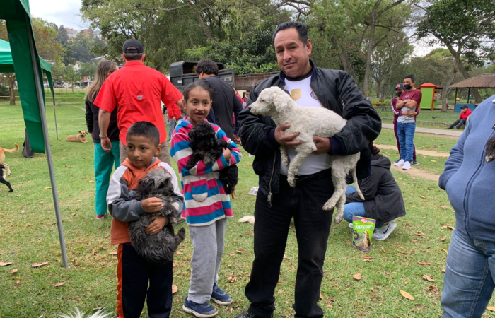 Campaña de adopción y desparasitación con gran acogida