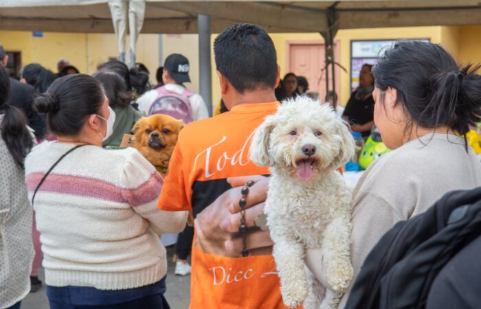 Activa Participación Ciudadana En Campaña De Vacunación Y Esterilización