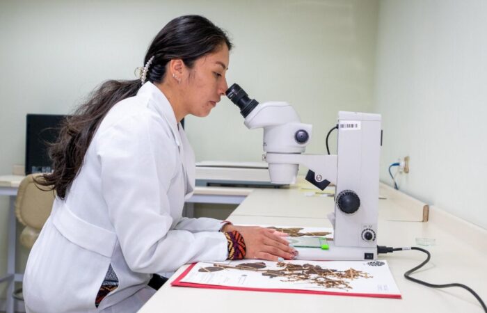 Herbario UTPL, Un Espacio Que Permite Explorar La Biodiversidad Del Sur Del País