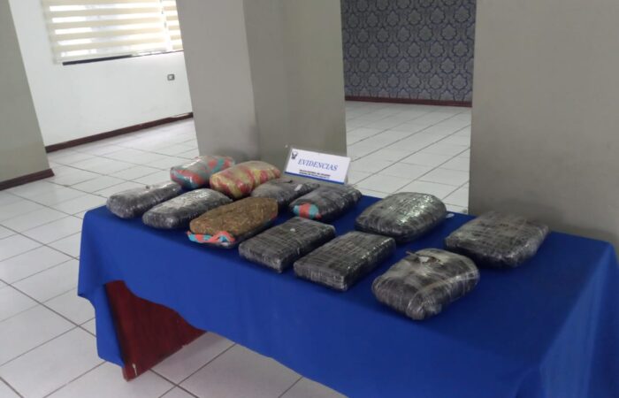 Dos hermanos detenidos con 12 kilos de marihuana