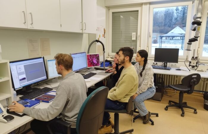 Posgradistas de la UNL realizan intercambio en Alemania