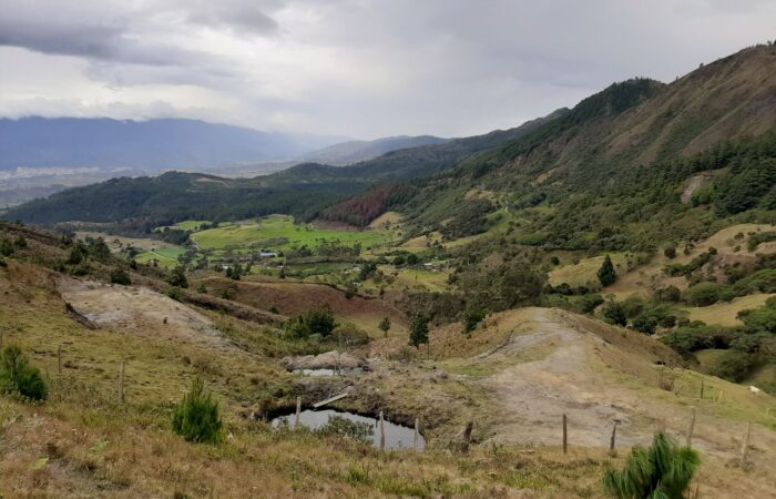 Proyecto UTPL es finalista en certamen internacional de gestión ambiental