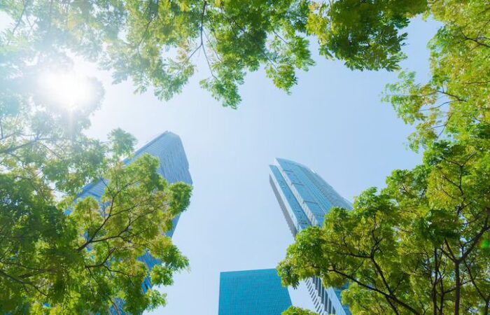 Nueva Agenda Urbana, respaldada por UTPL, Smarly emprendedurismo social en ODS y las Cátedras UNESCO, fue aprobada por unanimidad en la Asamblea Nacional del Ecuador