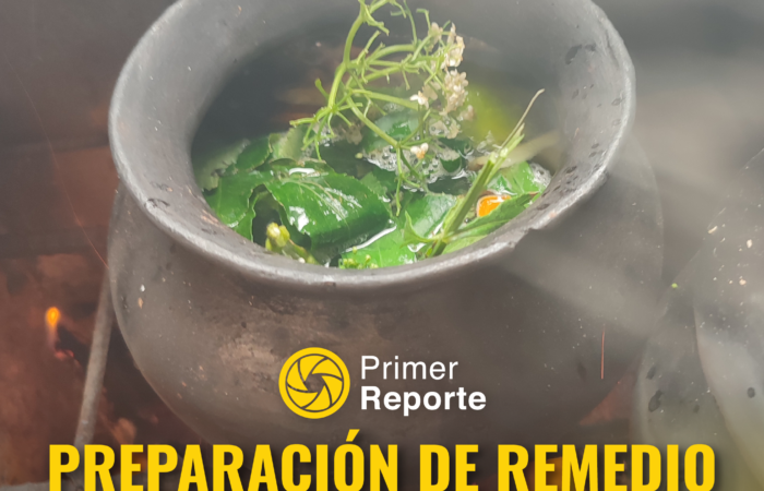 PREPARACIÓN DE REMEDIO TRADICIONAL PARA LA GRIPE
