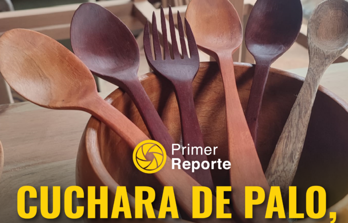 “CUCHARA DE PALO” UTENSILIO INDISPENSABLE EN LA COCINA