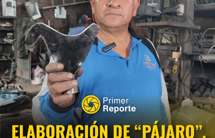 “PÁJARO”, ÚTIL HERRAMIENTA PARA ARRANCAR LAS FRUTAS