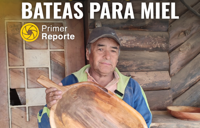 José Medina, un hábil carpintero que enseña elaborar bateas para la miel