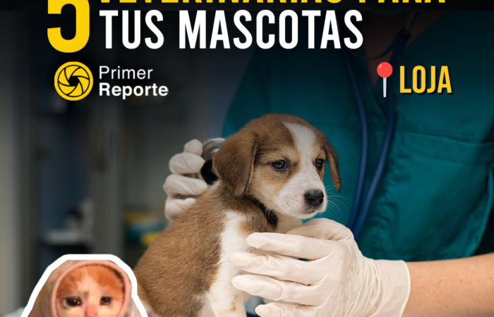 5 VETERINARIAS PARA TUS MASCOTAS