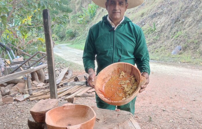 Elaboración de Bateas Para La Recolección de Miel