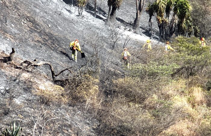 Gobernador verifica afectaciones por incendio forestal en El Cisne